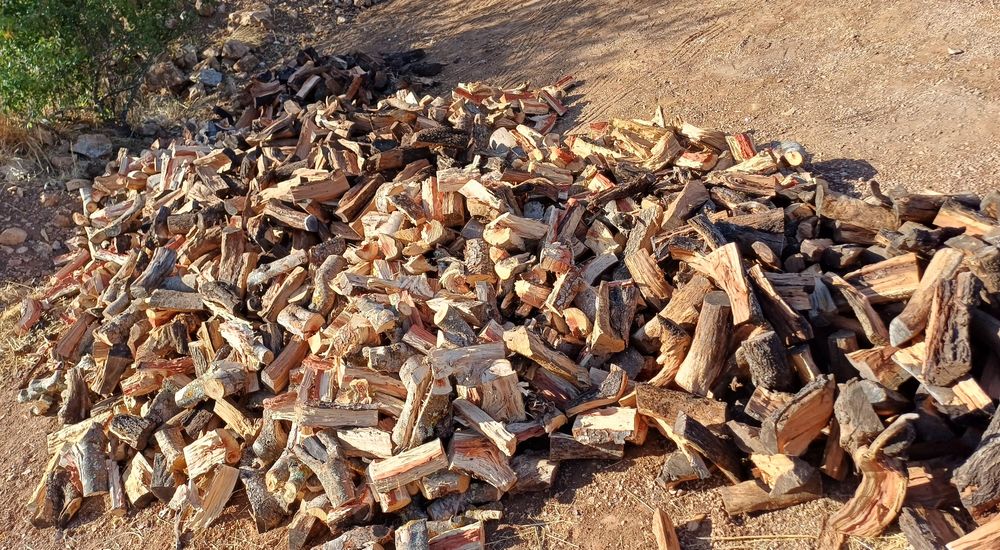 Lenha seca qualidade