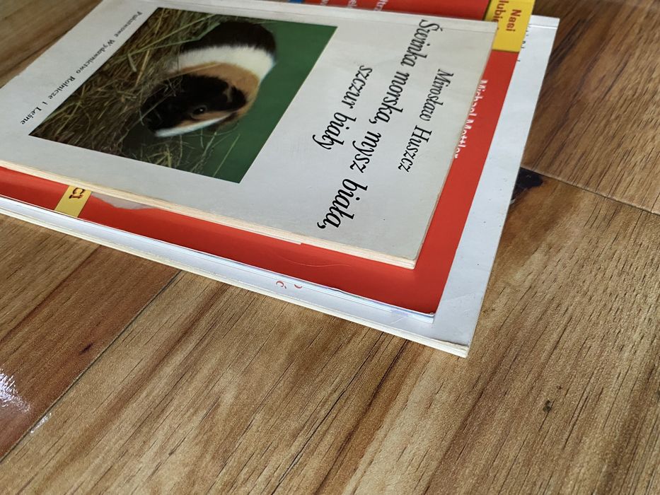 Mirosław Huszcz.  Świnka morska mysz biała szczur biały