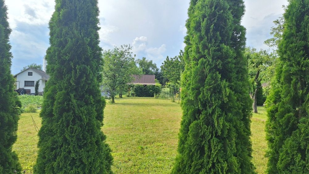 Działka rekreacyjna | ogródek | ROD - Widok 5