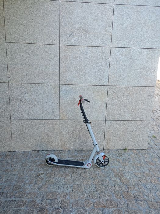 Trotinete oxelo.