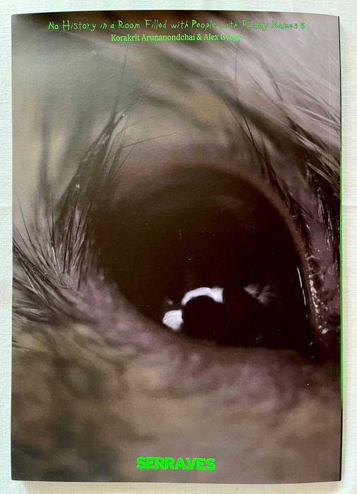 Korakrit Arunanondchai - Serralves