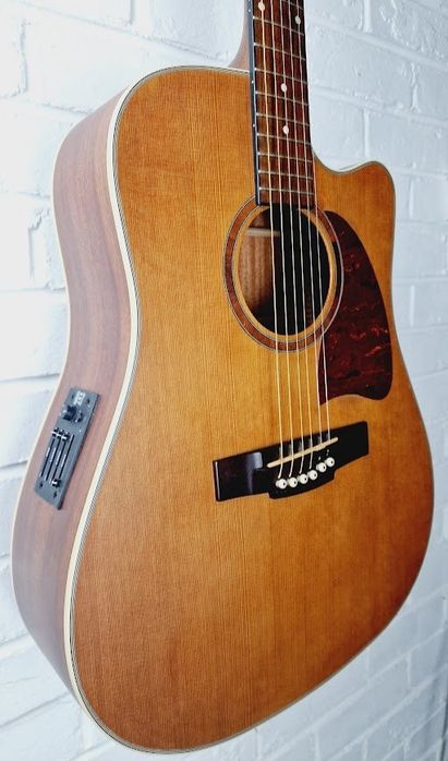 Ibanez Fishman preamp faceplate