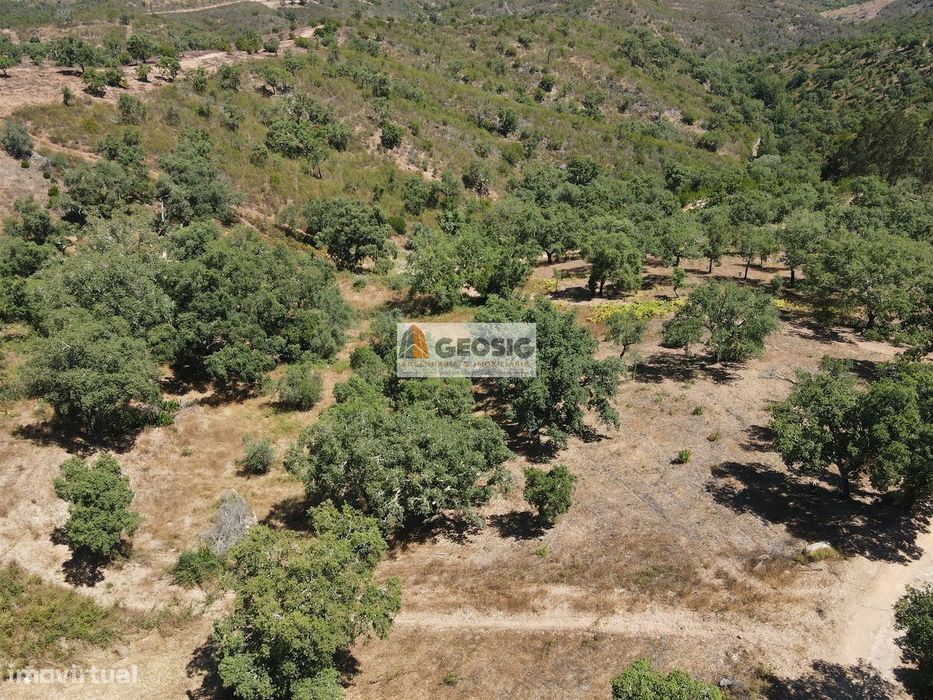 Terreno Rústico  Venda em São Barnabé,Almodôvar — São Barnabé, Beja