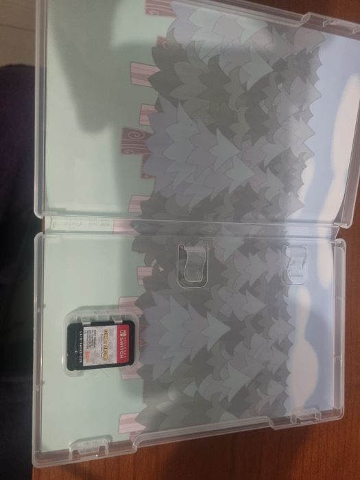 Nintendo switch story