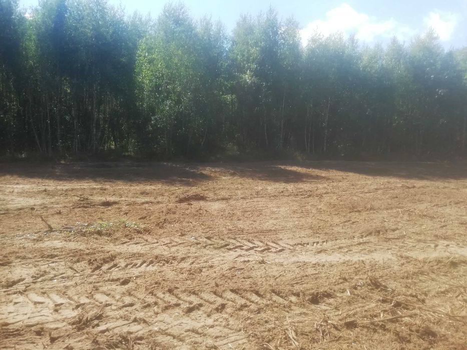 Mulczer leśny Oczyszczenie działki działek  terenu