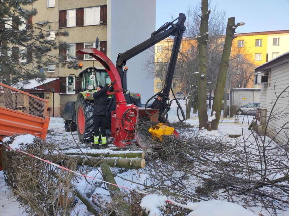 Utylizacja, wywóz gałęzi drzew, krzewów, tui itp
