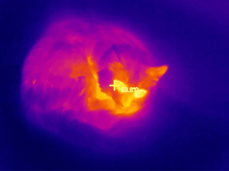 Бытовой тепловизор