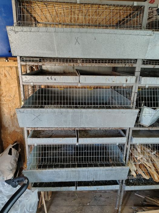 Клітки для бройлеров