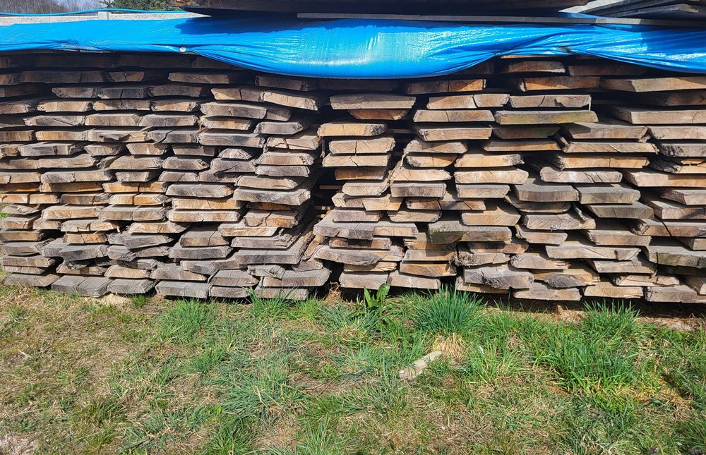 Brusy Dębowe 4-letnie