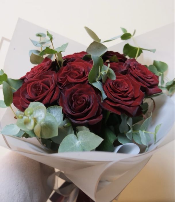 Троянда  Гран Прі Grand Prix дворічний кущ