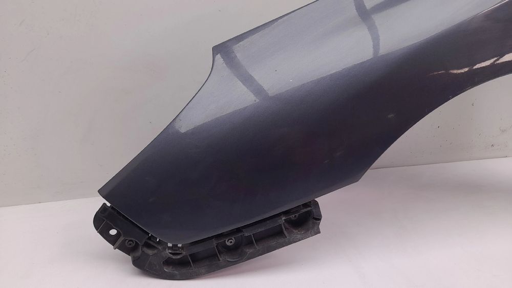 Guarda-lamas esquerdo RENAULT Latitude (L70_)