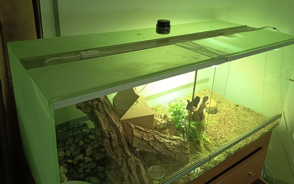 Terrario 1.50x 55x50