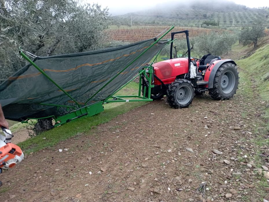 Apanha frutos ou azeitona manual