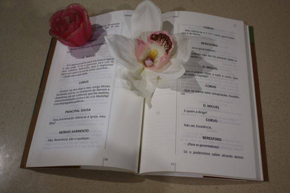 Livro "Felizmente há luar"