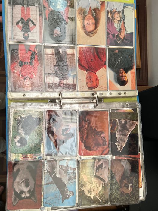 Dossier com calendário