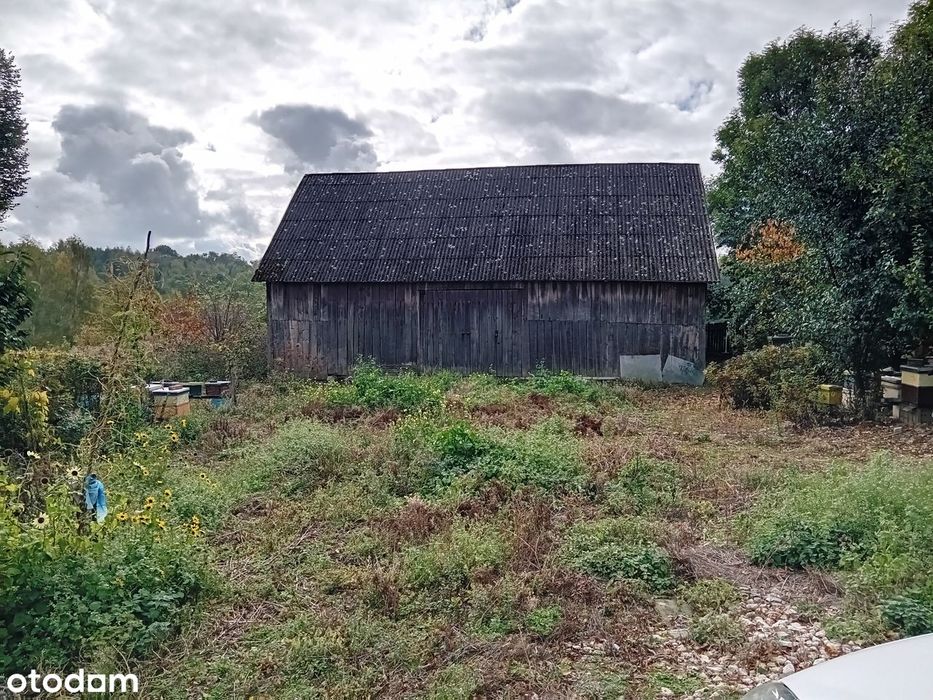 Dom – Kozłów - Widok 2