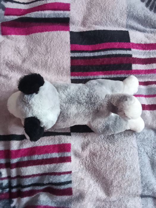 Продам велику гарну іграшку хаскі)