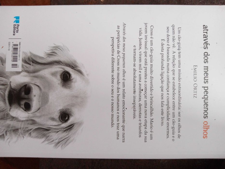 Através dos meus Pequenos Olhos