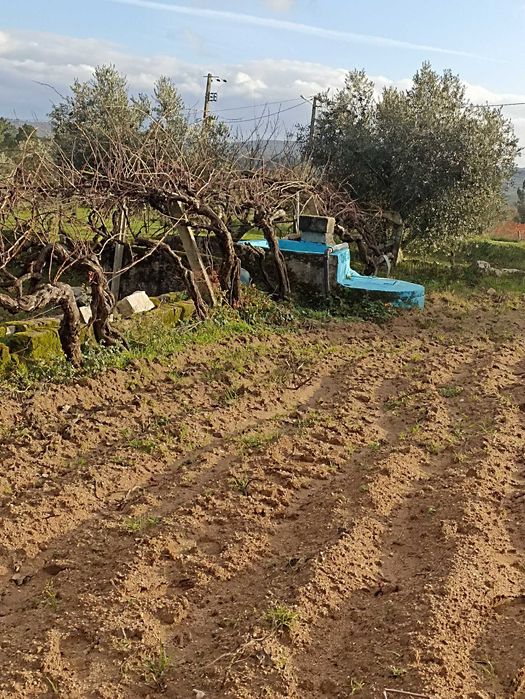 Terreno agrícola, casa, furo água, Alverca da Beira - Pinhel