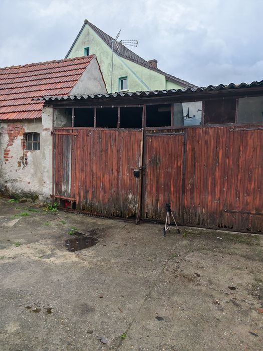 Dom – Trzebiel - Widok 3