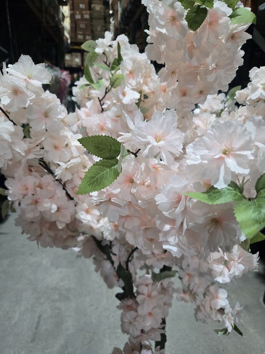 Flores cerejeiras rosinhas lindissimas para entregas