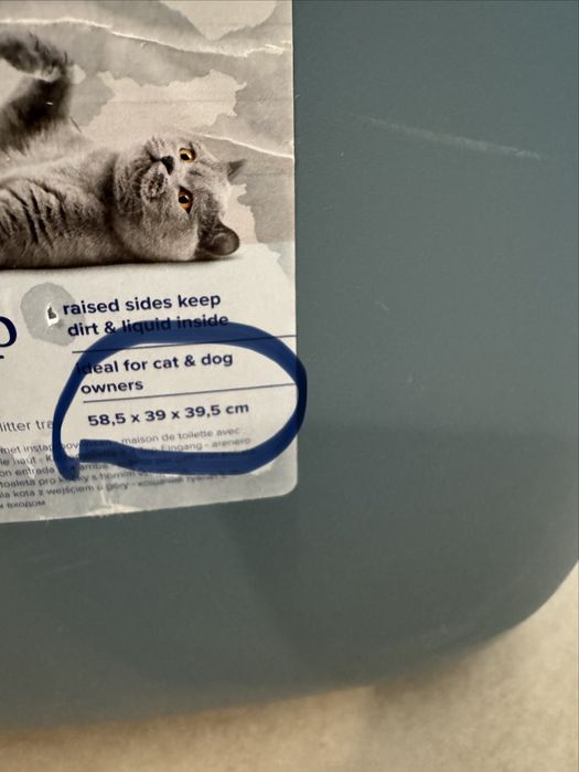 Caixa de areia para gatos