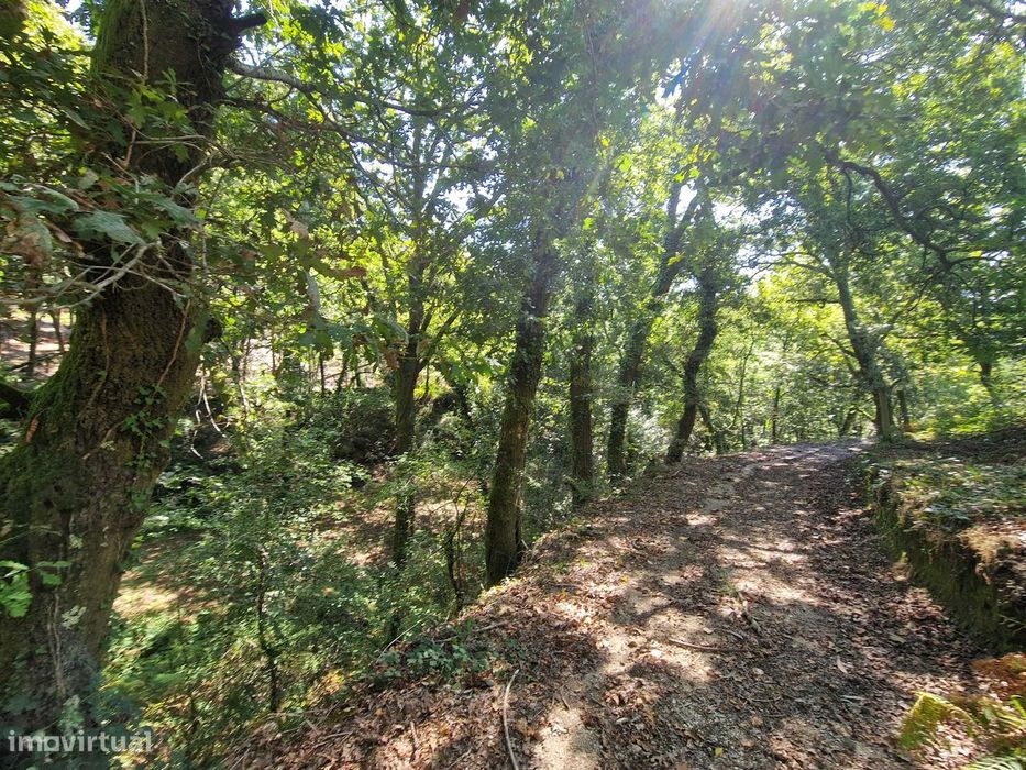 Terreno  Venda em Mosteiro,Vieira do Minho