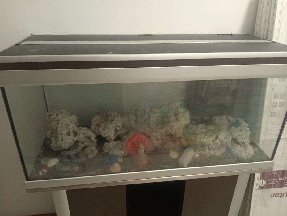 Aquário  com móvel e acessórios de aquário . Melhor oferta