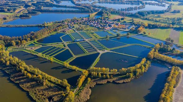 Działki budowlane w Dolinie Baryczy