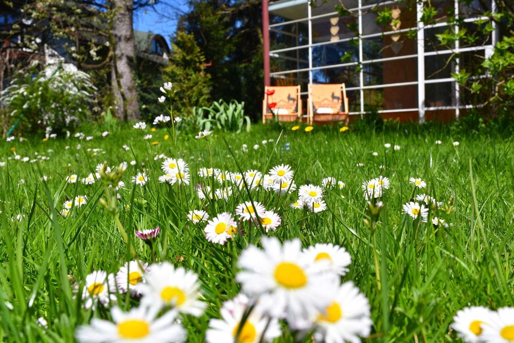 noclegi pokoje kwatery pracownicze Wilkowice Bielsko Szczyrk