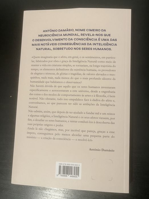A Inteligência Natural & a Lógica da Consciência