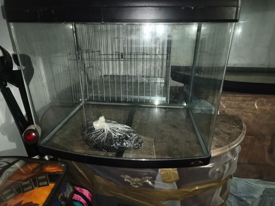 Aquário panorâmico 60 litros