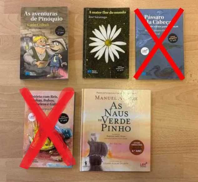 Vários livros de histórias do “ plano nacional de leitura”