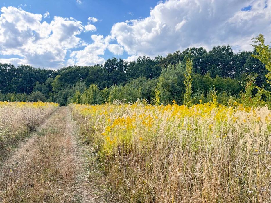 Продається земельна ділянка в Якушинцях