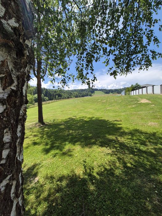 Noclegi Bieszczady, Pensjonat ,Agroturystyka ,Pokoje do wynajęcia.