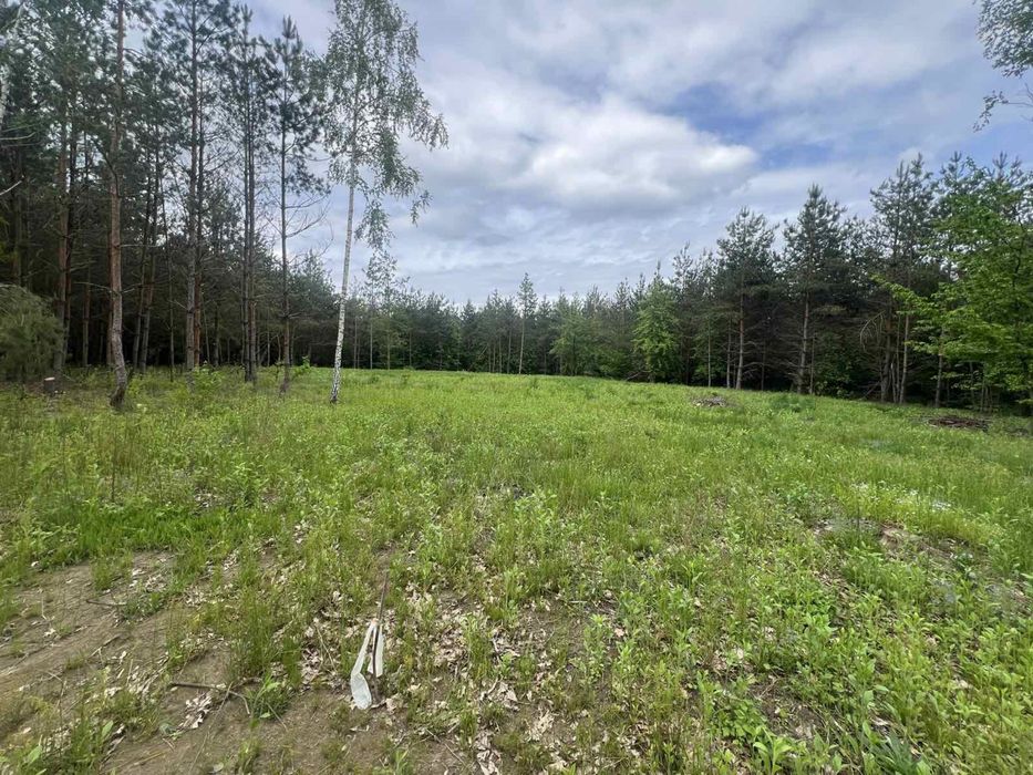 Продаж ділянки біля лісу с. Славне