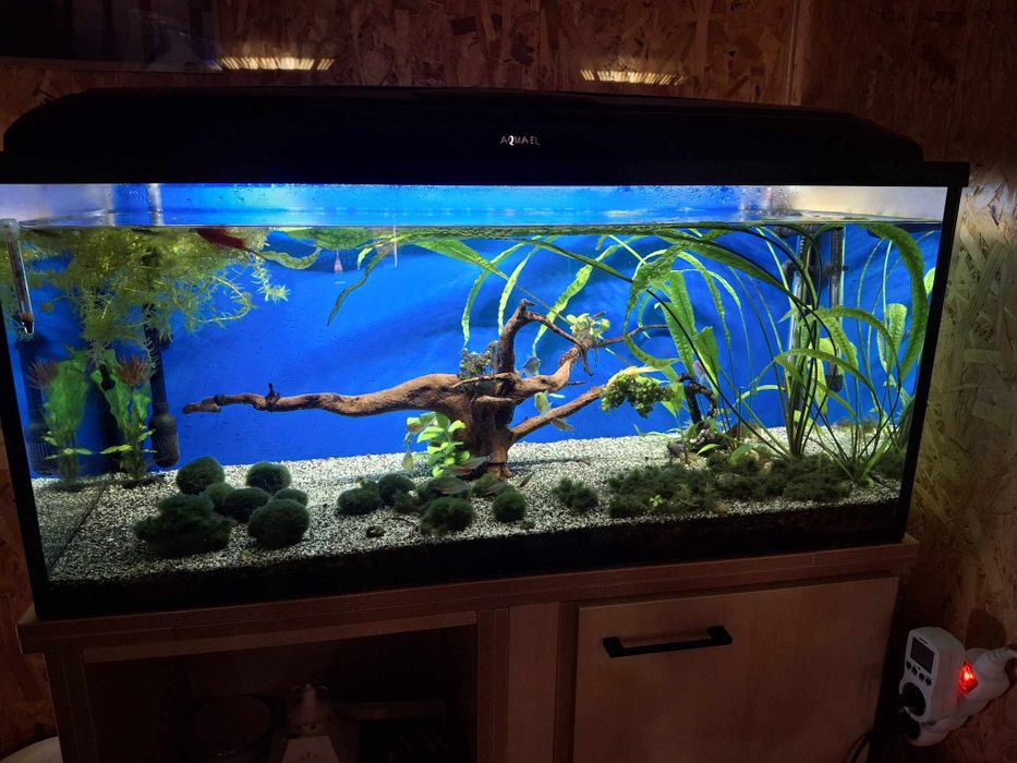Akwarium 180 l , pokrywa z ledem, filtr, szafka