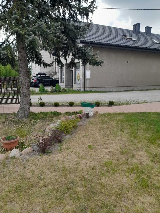 Wynajmę budynek usługowo-mieszkalny Grodzisk Mazowiecki