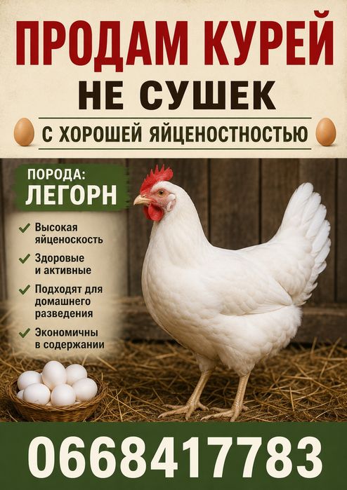 Продам Куры несушки