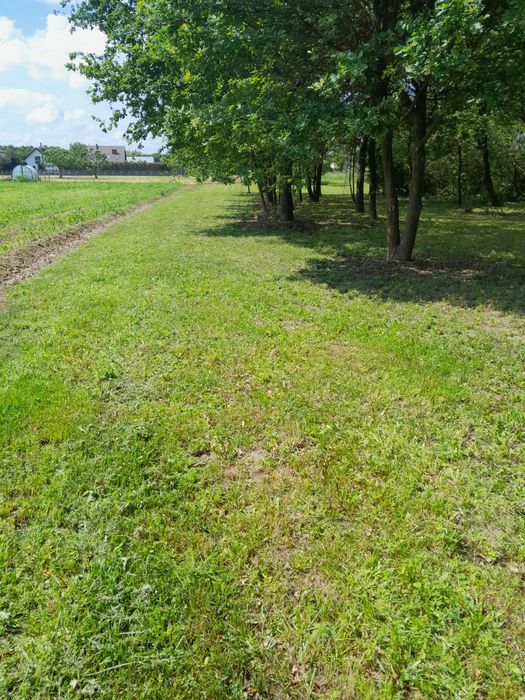 Działka  na sprzedaż