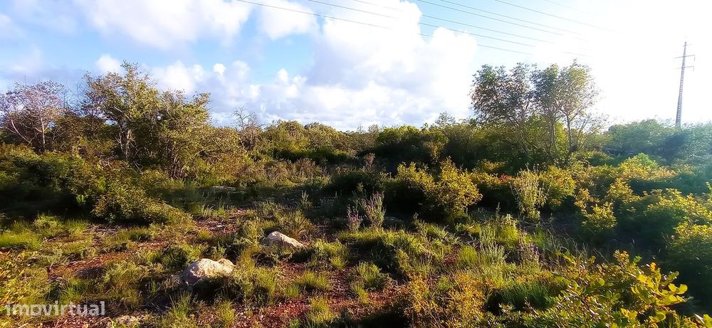 Terreno Rústico  Venda em Conceição e Estoi,Faro