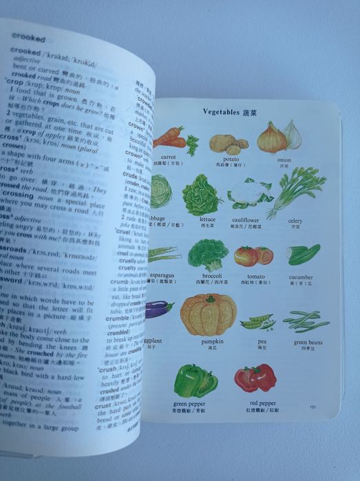 English - Chinese dictionary
