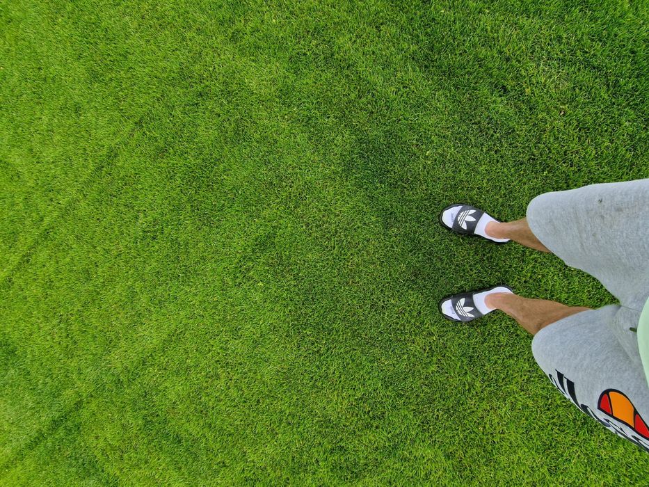 Trawnik z rolki Trawnik z siewu #Nawadnianie Glebogryzarka Separacyjna