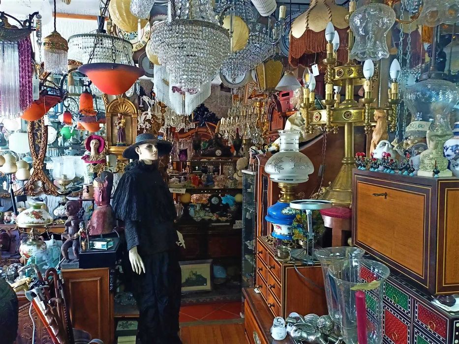 Prato Arara Escarlate Amazonas