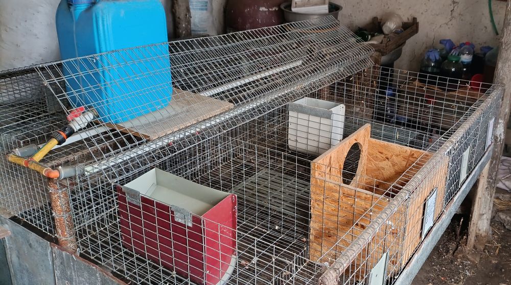 Продам мини кролеферму