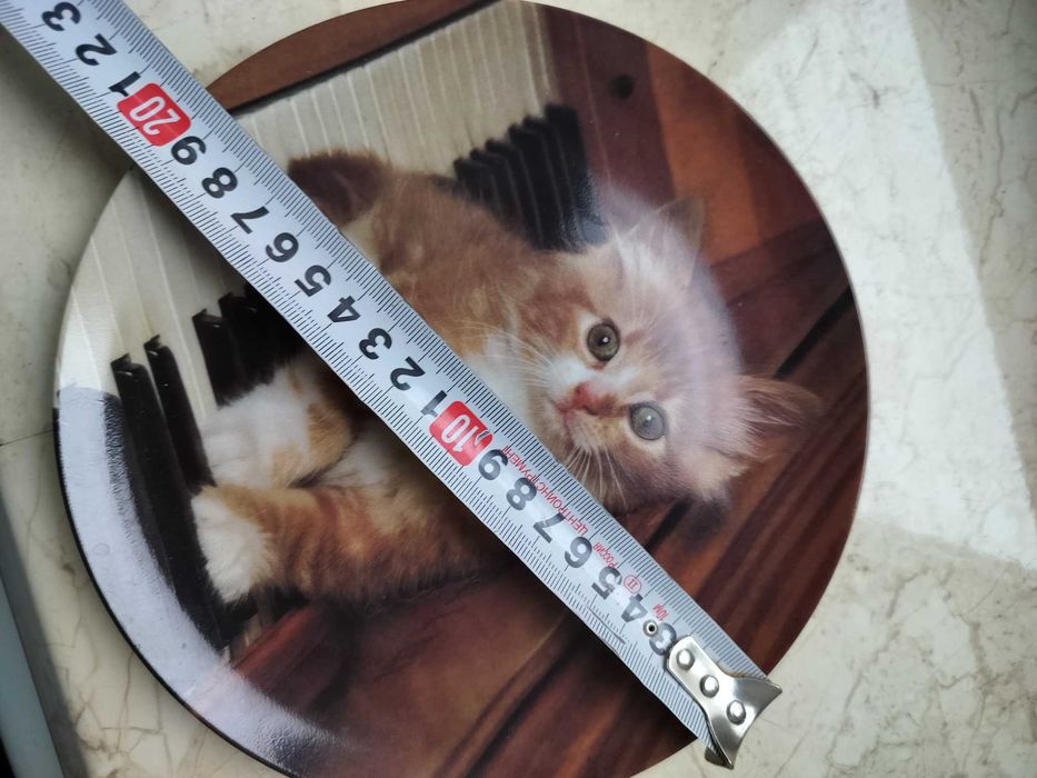 Тарілка декоративна "Кошеня на клавішах" 20 см