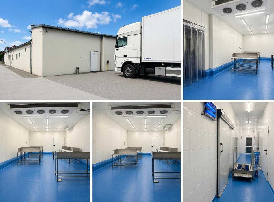 Wynajem nowoczesnego zakładu produkcyjnego – 871 m² – powiat poznański – gotowy do uruchomienia produkcji