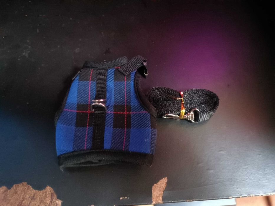 trela para pequenos animais tamanho S