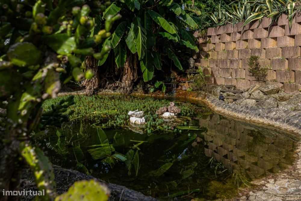 Casa com 3 quartos - localizado em Aveiro