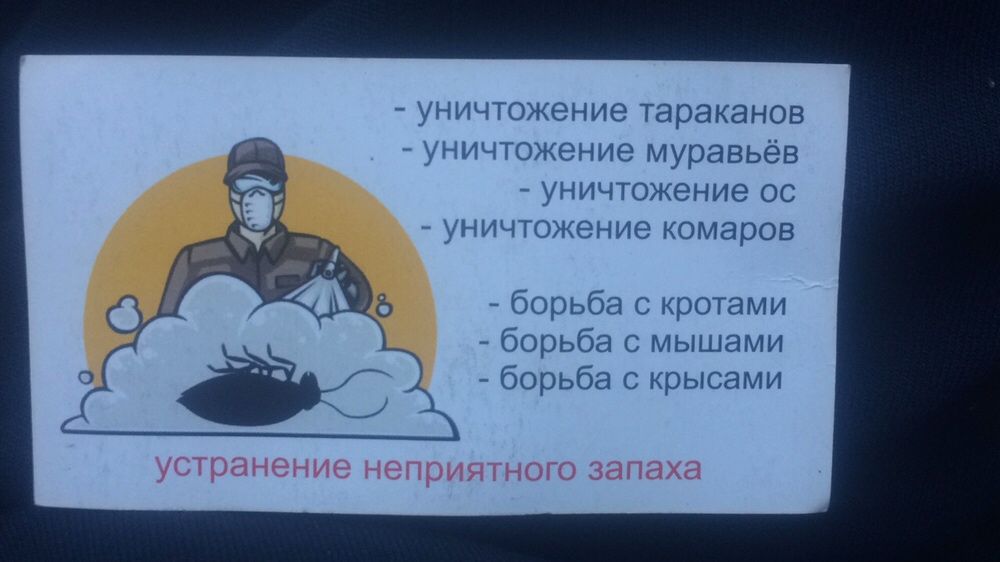 Уничтожение всех видов насекомых и грызунов
